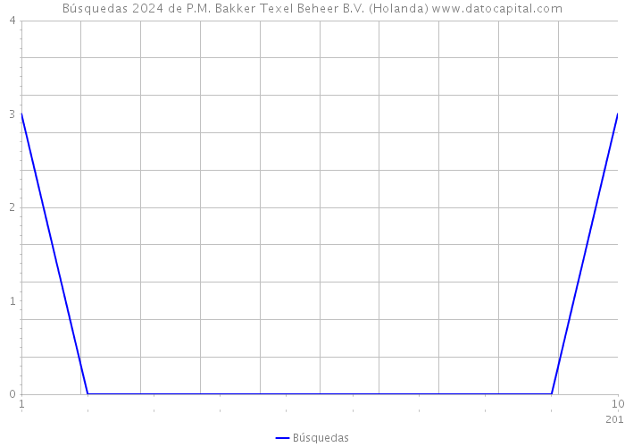 Búsquedas 2024 de P.M. Bakker Texel Beheer B.V. (Holanda) 