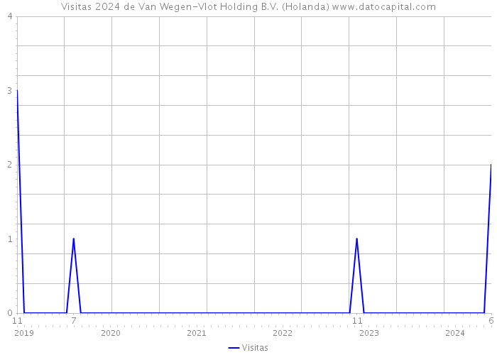 Visitas 2024 de Van Wegen-Vlot Holding B.V. (Holanda) 