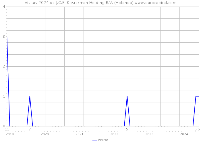 Visitas 2024 de J.C.B. Kosterman Holding B.V. (Holanda) 