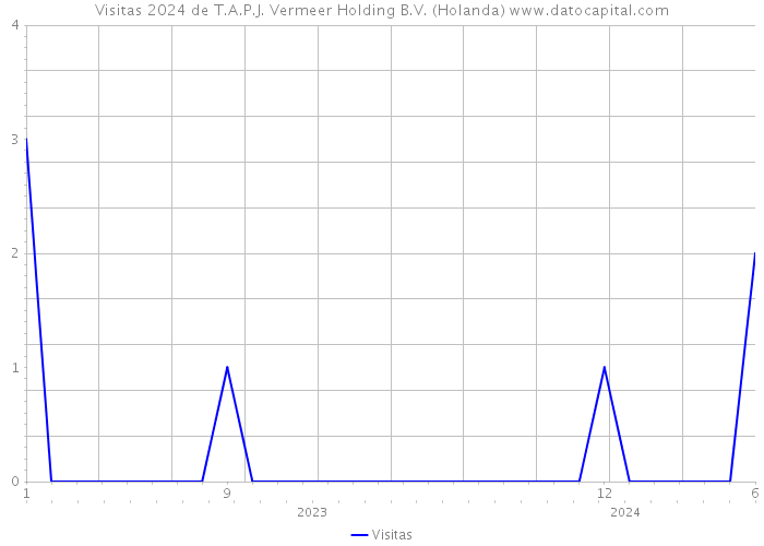 Visitas 2024 de T.A.P.J. Vermeer Holding B.V. (Holanda) 