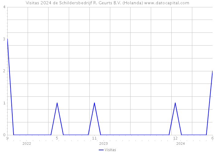 Visitas 2024 de Schildersbedrijf R. Geurts B.V. (Holanda) 