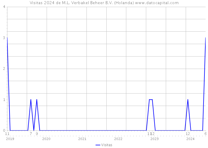 Visitas 2024 de M.L. Verbakel Beheer B.V. (Holanda) 