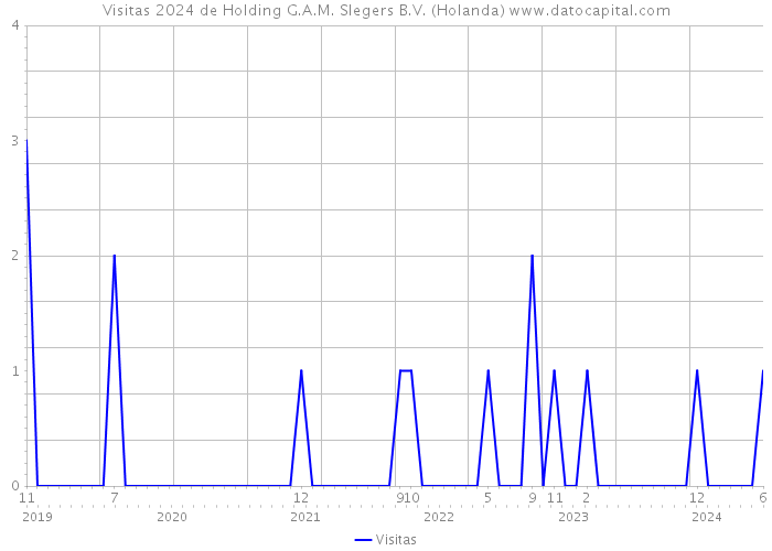 Visitas 2024 de Holding G.A.M. Slegers B.V. (Holanda) 