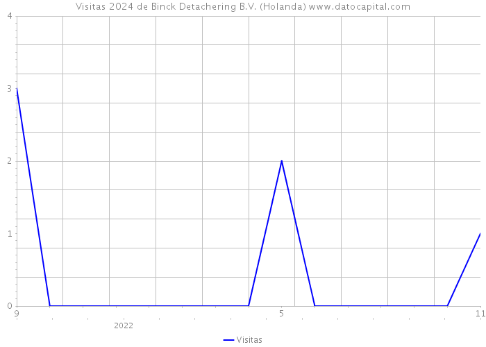 Visitas 2024 de Binck Detachering B.V. (Holanda) 