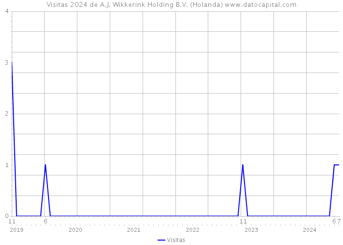 Visitas 2024 de A.J. Wikkerink Holding B.V. (Holanda) 