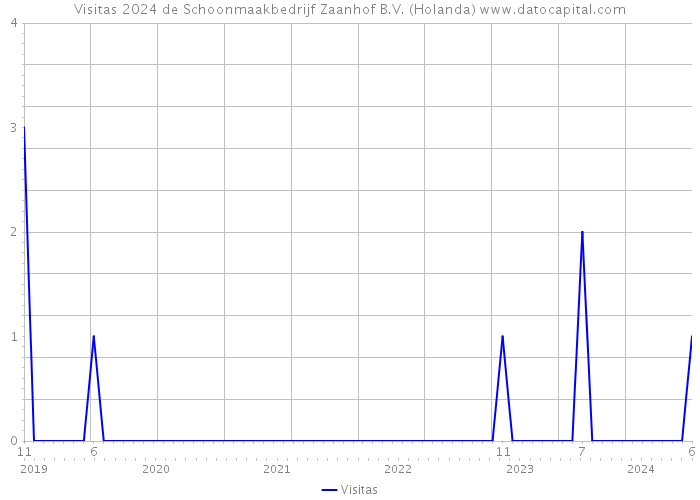Visitas 2024 de Schoonmaakbedrijf Zaanhof B.V. (Holanda) 