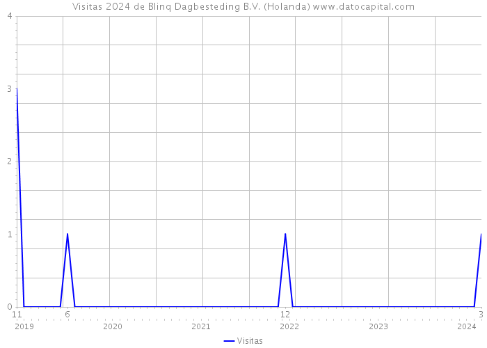 Visitas 2024 de Blinq Dagbesteding B.V. (Holanda) 