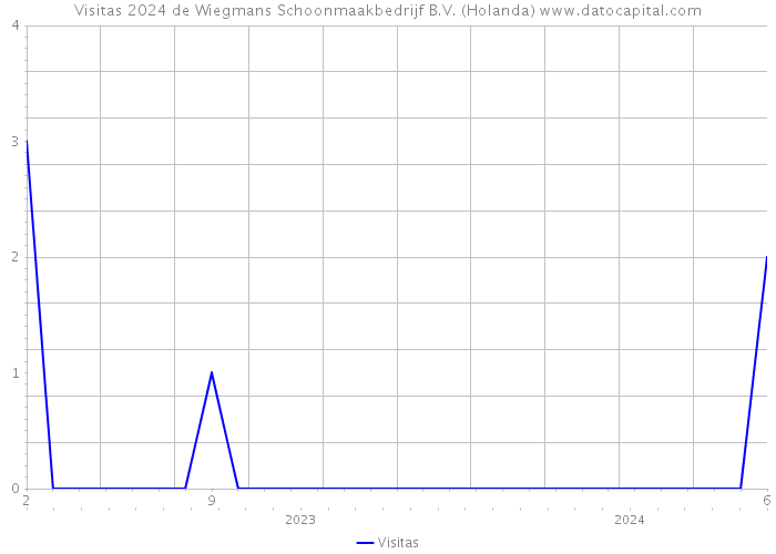 Visitas 2024 de Wiegmans Schoonmaakbedrijf B.V. (Holanda) 