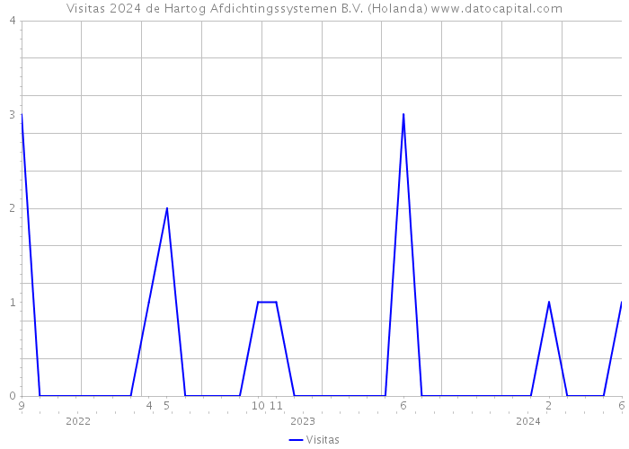 Visitas 2024 de Hartog Afdichtingssystemen B.V. (Holanda) 