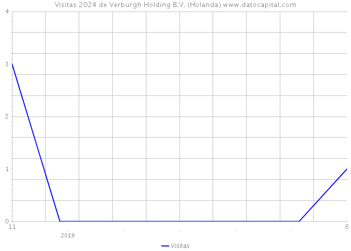 Visitas 2024 de Verburgh Holding B.V. (Holanda) 