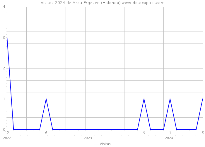 Visitas 2024 de Arzu Ergezen (Holanda) 