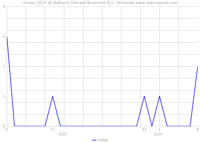 Visitas 2024 de Bakkerij Verbeek Brummen B.V. (Holanda) 