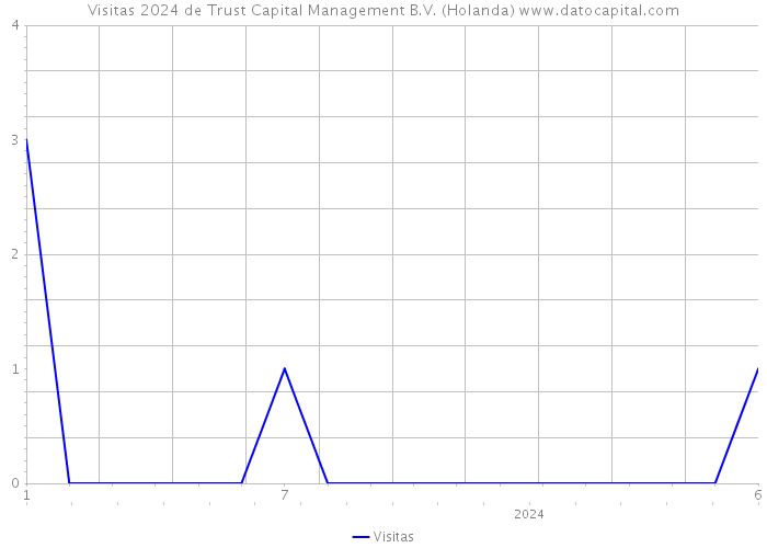 Visitas 2024 de Trust Capital Management B.V. (Holanda) 