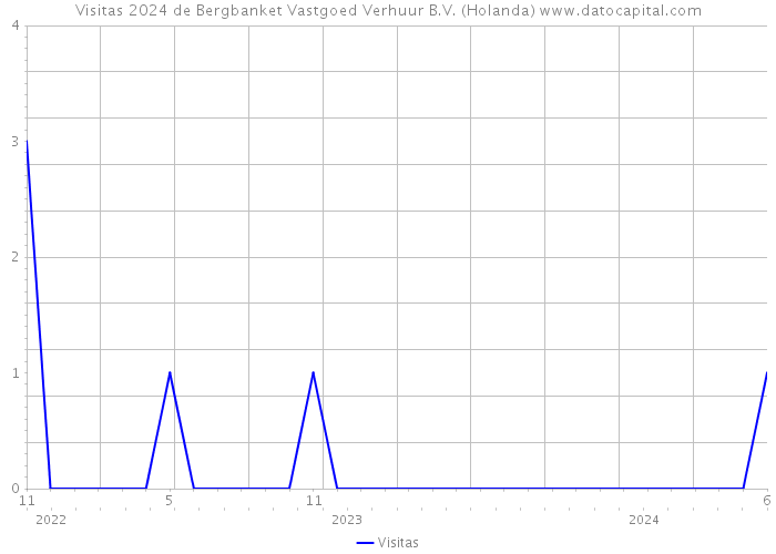 Visitas 2024 de Bergbanket Vastgoed Verhuur B.V. (Holanda) 