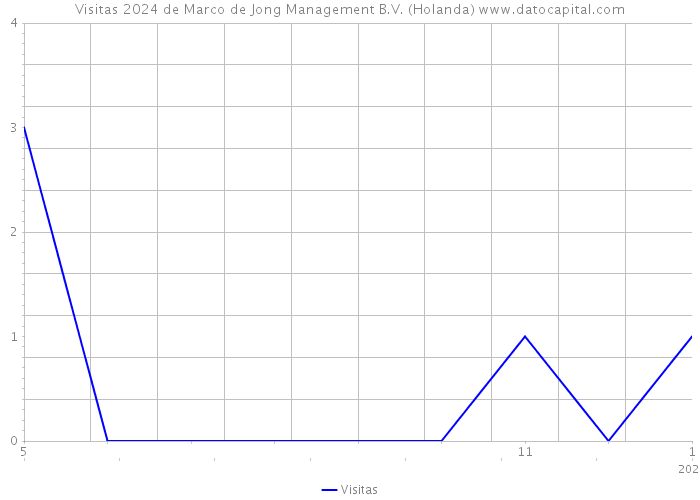 Visitas 2024 de Marco de Jong Management B.V. (Holanda) 