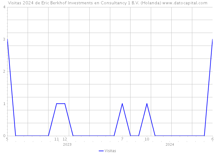 Visitas 2024 de Eric Berkhof Investments en Consultancy 1 B.V. (Holanda) 