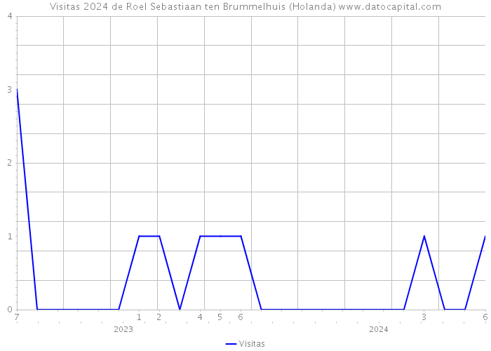 Visitas 2024 de Roel Sebastiaan ten Brummelhuis (Holanda) 