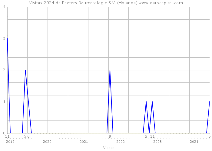 Visitas 2024 de Peeters Reumatologie B.V. (Holanda) 