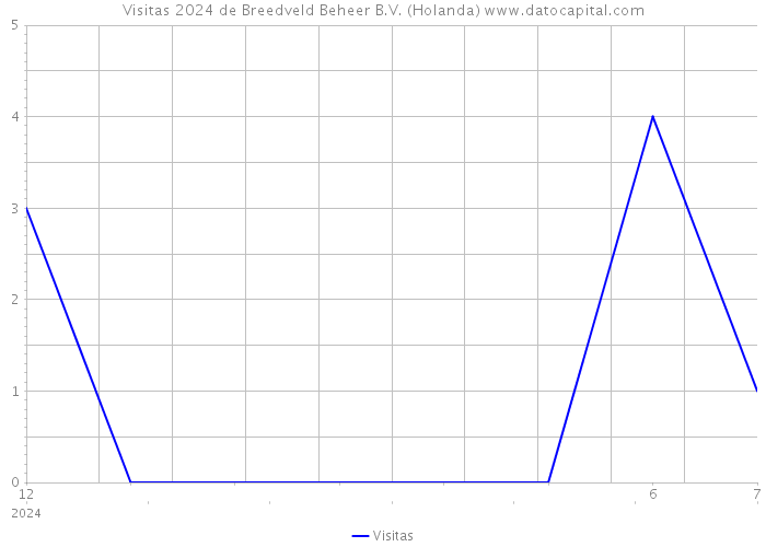 Visitas 2024 de Breedveld Beheer B.V. (Holanda) 