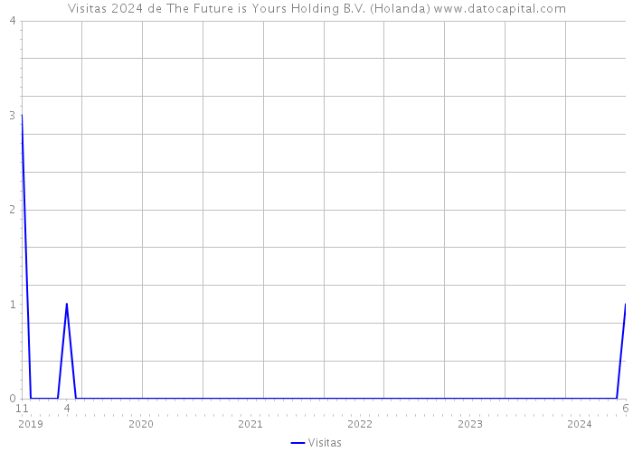 Visitas 2024 de The Future is Yours Holding B.V. (Holanda) 