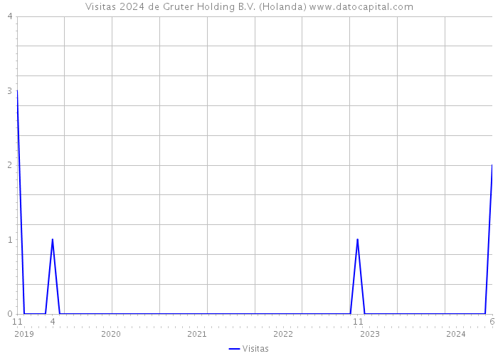 Visitas 2024 de Gruter Holding B.V. (Holanda) 