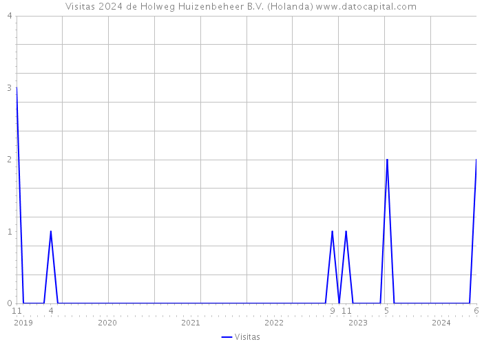 Visitas 2024 de Holweg Huizenbeheer B.V. (Holanda) 