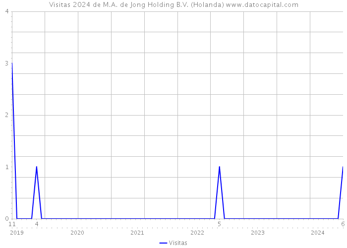 Visitas 2024 de M.A. de Jong Holding B.V. (Holanda) 