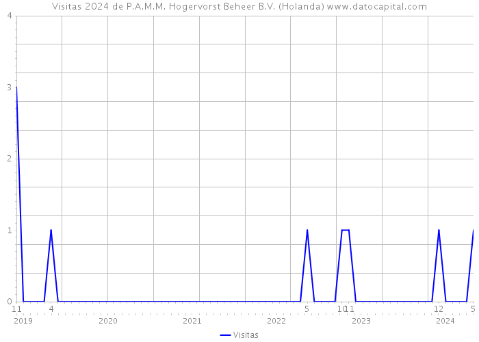 Visitas 2024 de P.A.M.M. Hogervorst Beheer B.V. (Holanda) 