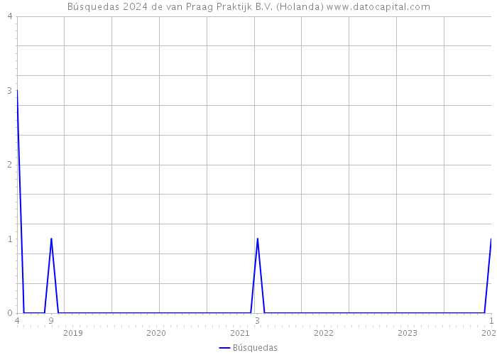 Búsquedas 2024 de van Praag Praktijk B.V. (Holanda) 