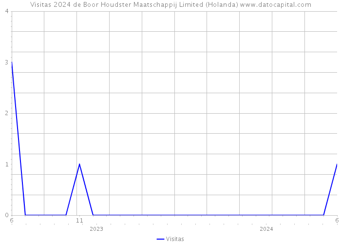 Visitas 2024 de Boor Houdster Maatschappij Limited (Holanda) 