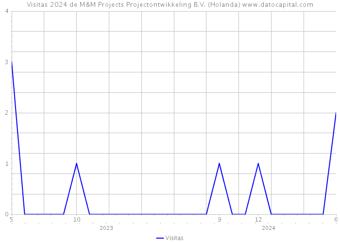 Visitas 2024 de M&M Projects Projectontwikkeling B.V. (Holanda) 