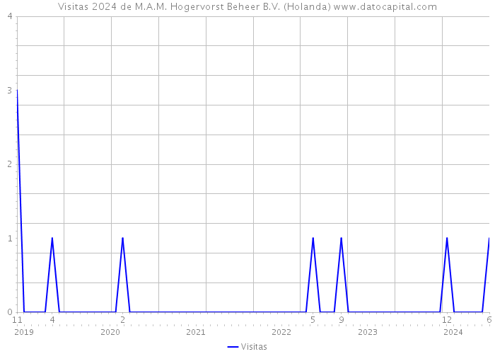 Visitas 2024 de M.A.M. Hogervorst Beheer B.V. (Holanda) 