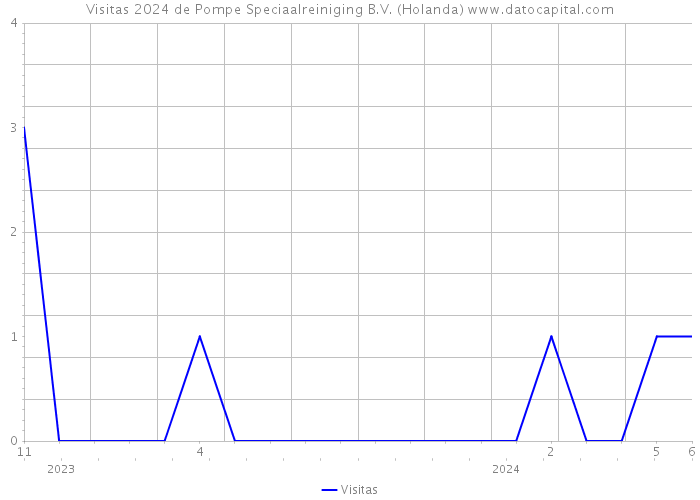 Visitas 2024 de Pompe Speciaalreiniging B.V. (Holanda) 