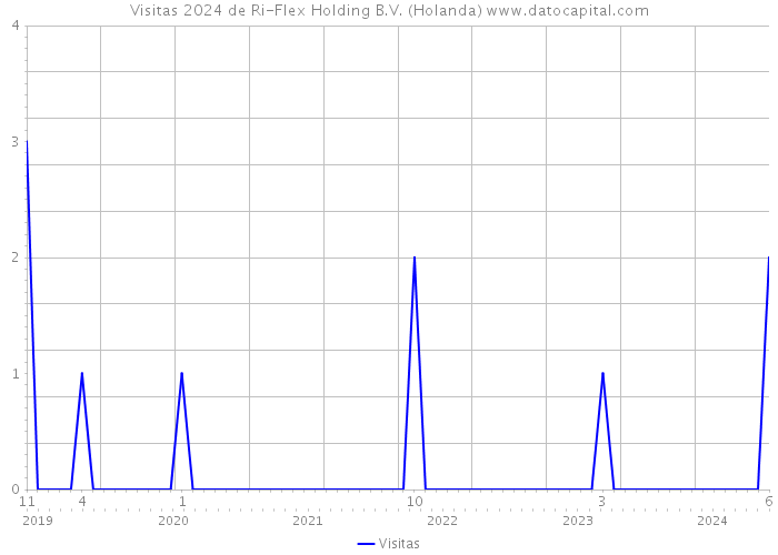 Visitas 2024 de Ri-Flex Holding B.V. (Holanda) 