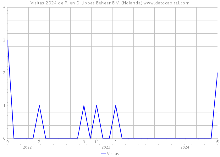 Visitas 2024 de P. en D. Jippes Beheer B.V. (Holanda) 