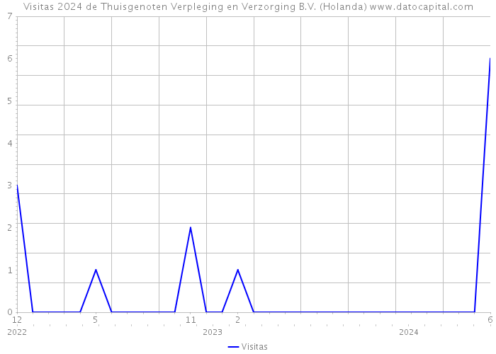 Visitas 2024 de Thuisgenoten Verpleging en Verzorging B.V. (Holanda) 