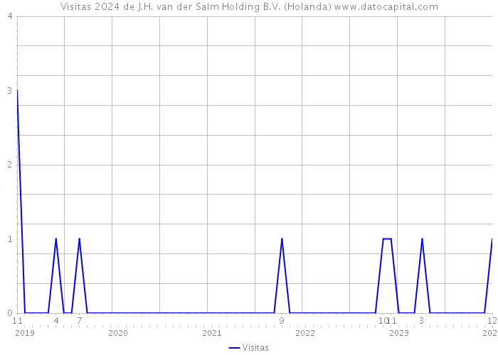 Visitas 2024 de J.H. van der Salm Holding B.V. (Holanda) 