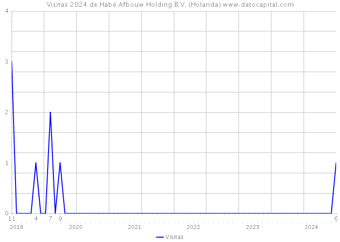 Visitas 2024 de Habé Afbouw Holding B.V. (Holanda) 