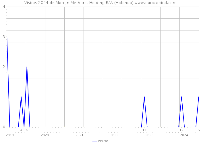 Visitas 2024 de Martijn Methorst Holding B.V. (Holanda) 