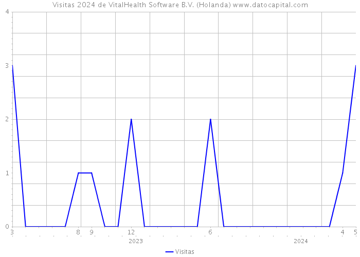 Visitas 2024 de VitalHealth Software B.V. (Holanda) 