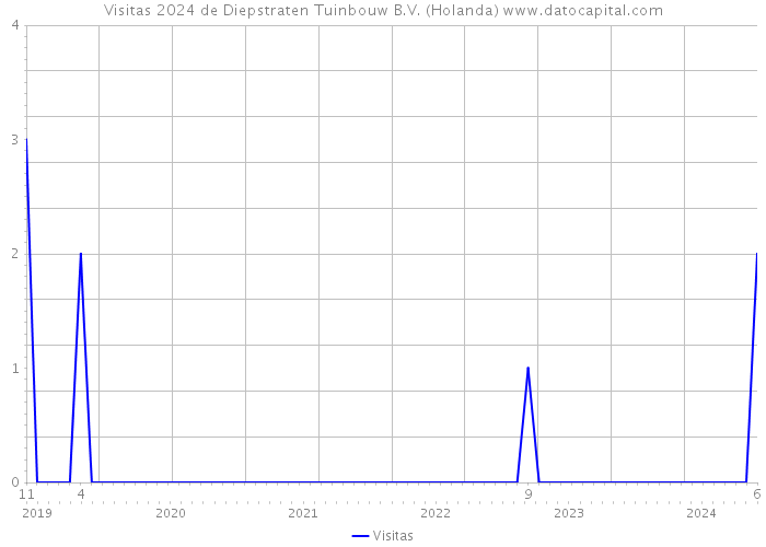 Visitas 2024 de Diepstraten Tuinbouw B.V. (Holanda) 