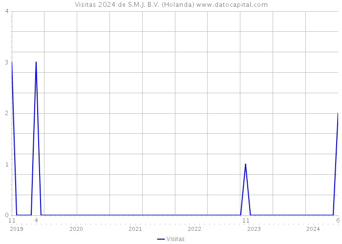 Visitas 2024 de S.M.J. B.V. (Holanda) 