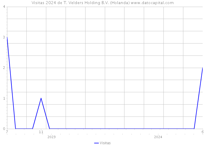 Visitas 2024 de T. Velders Holding B.V. (Holanda) 