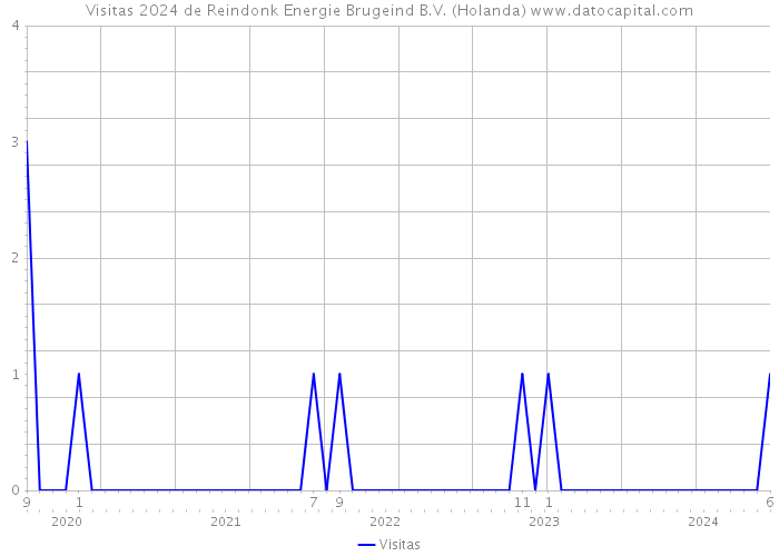 Visitas 2024 de Reindonk Energie Brugeind B.V. (Holanda) 