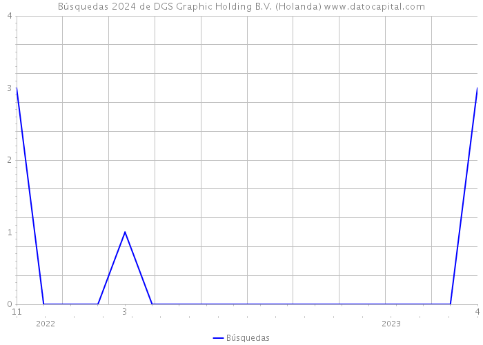 Búsquedas 2024 de DGS Graphic Holding B.V. (Holanda) 