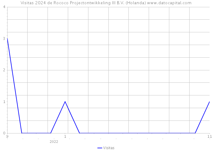 Visitas 2024 de Rococo Projectontwikkeling III B.V. (Holanda) 