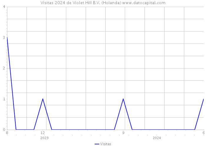 Visitas 2024 de Violet Hill B.V. (Holanda) 