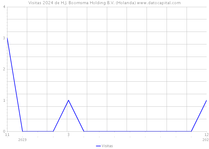 Visitas 2024 de H.J. Boomsma Holding B.V. (Holanda) 