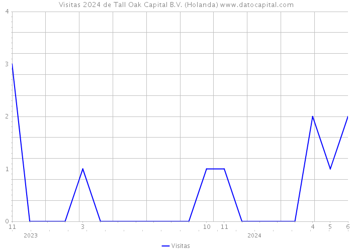 Visitas 2024 de Tall Oak Capital B.V. (Holanda) 