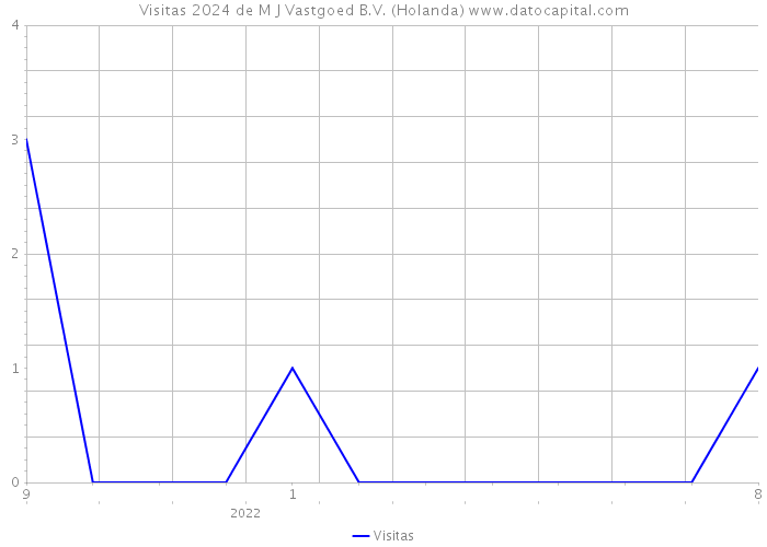 Visitas 2024 de M J Vastgoed B.V. (Holanda) 